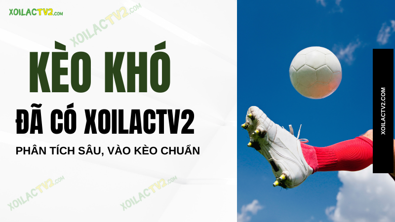 Cổ vũ đội tuyển Việt Nam trên XoilacTV